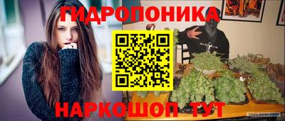 мяу мяу мука Нарткала